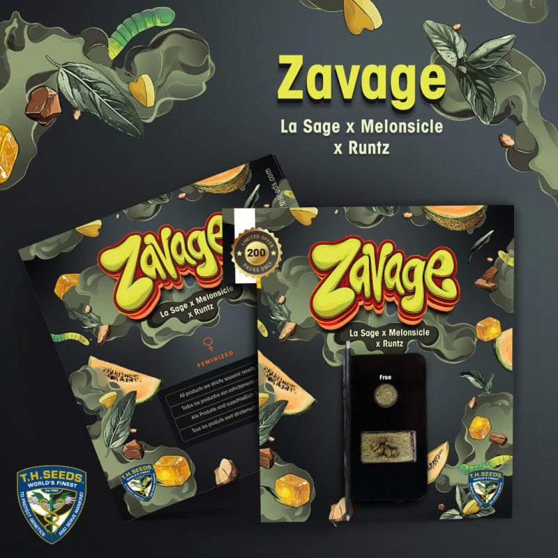 Zavage - Bild 6 von 6