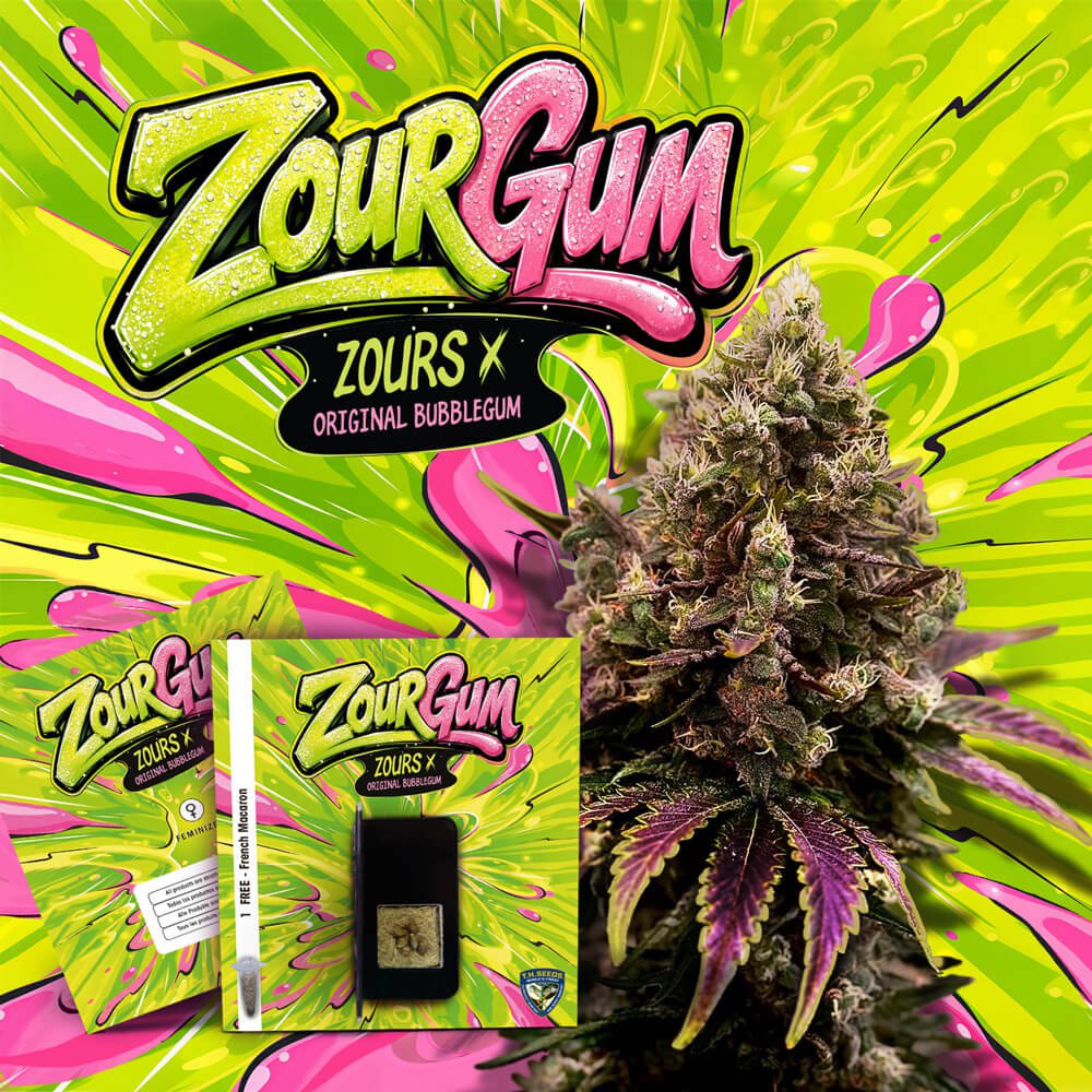 ZourGum - Bild 1 von 6