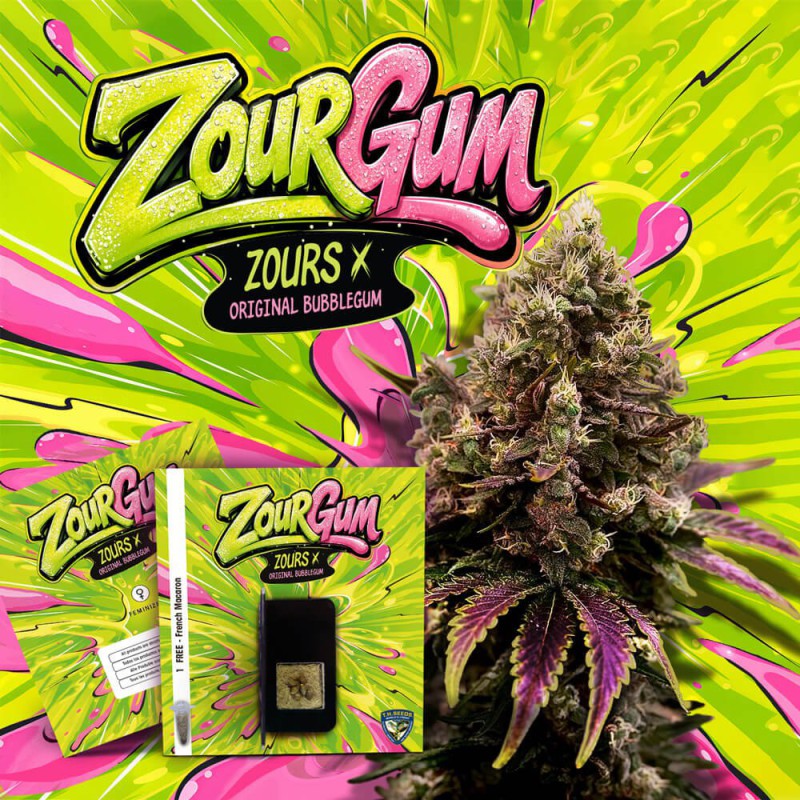 ZourGum - Bild 2 von 6